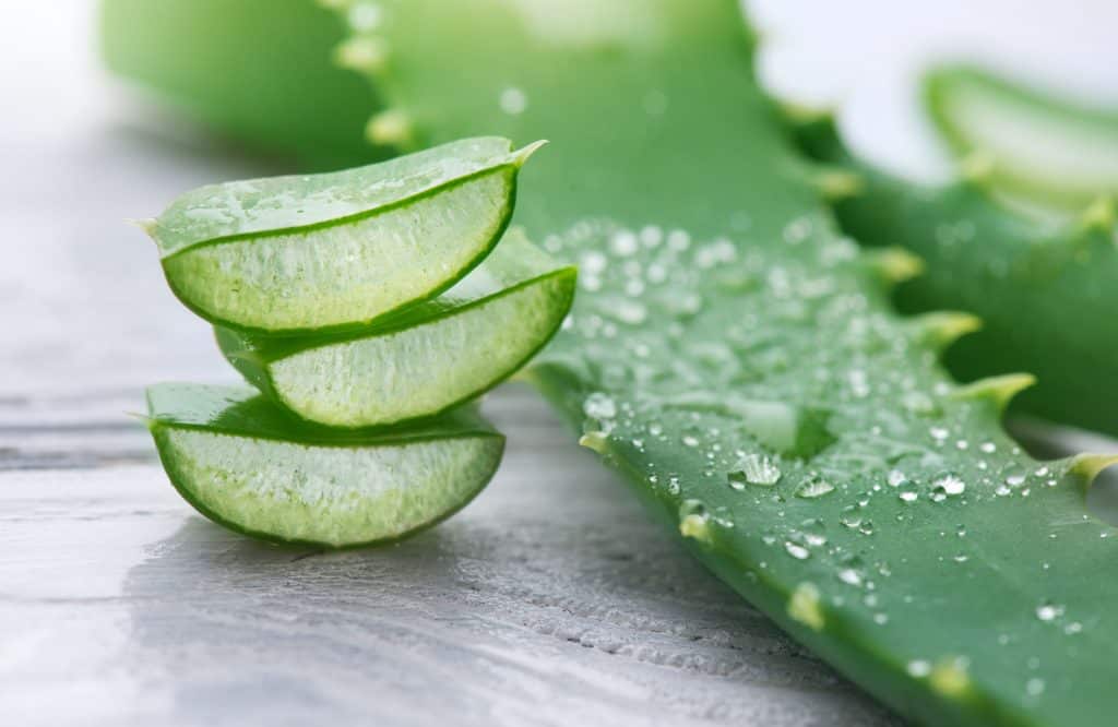 The Effect of Aloe Vera on Diabetes