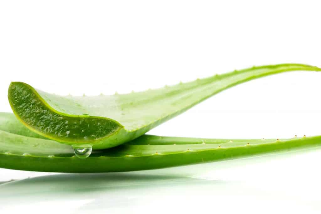 The Effect of Aloe Vera on Diabetes