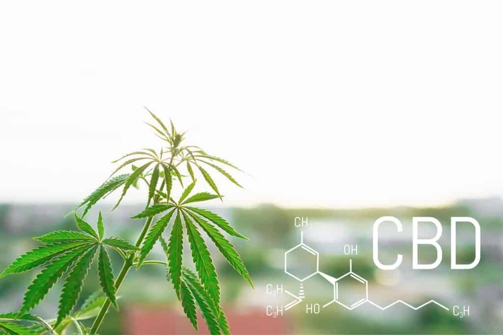 Can CBD Oil Cause Headaches