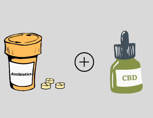 CBD and Antibiotics