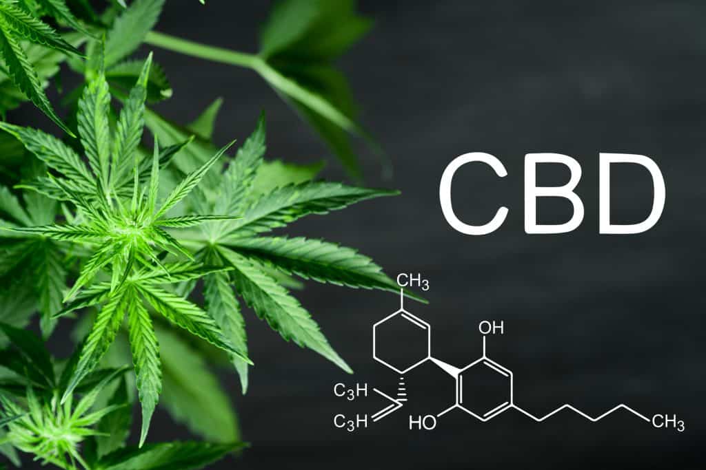 Can CBD Oil Lower Triglycerides