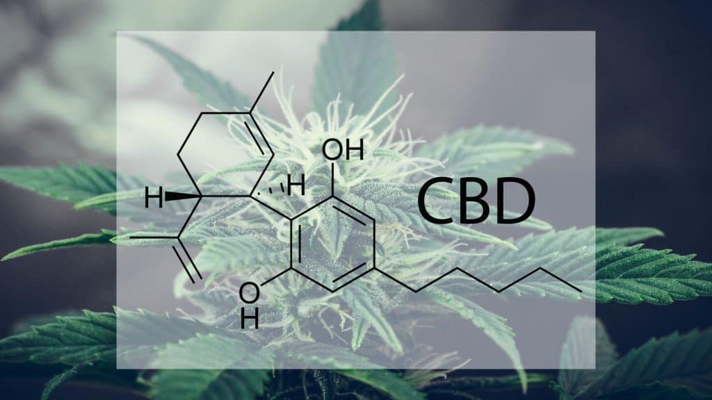 How Long Does CBD Stay in Your System