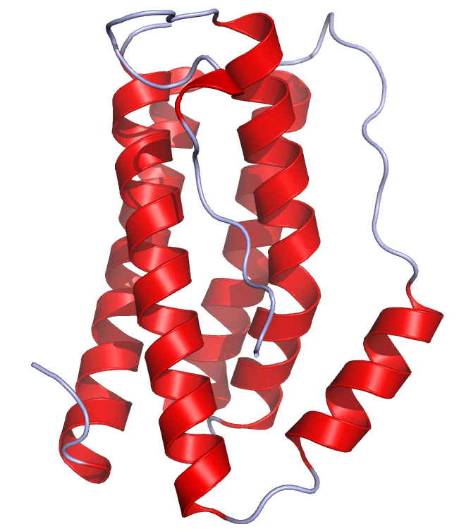 interleukin-6