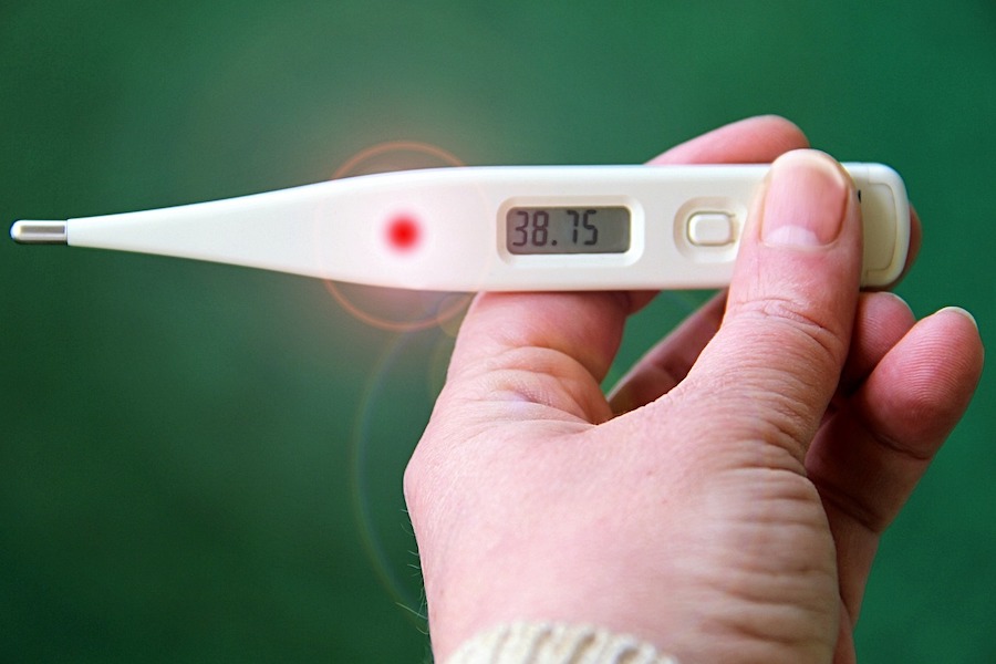 a thermometer helps when looking at the symptoms of tick-borne diseases