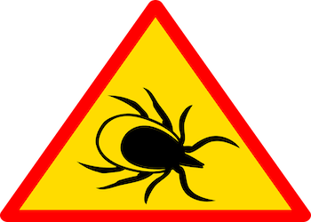 how serious is lyme disease