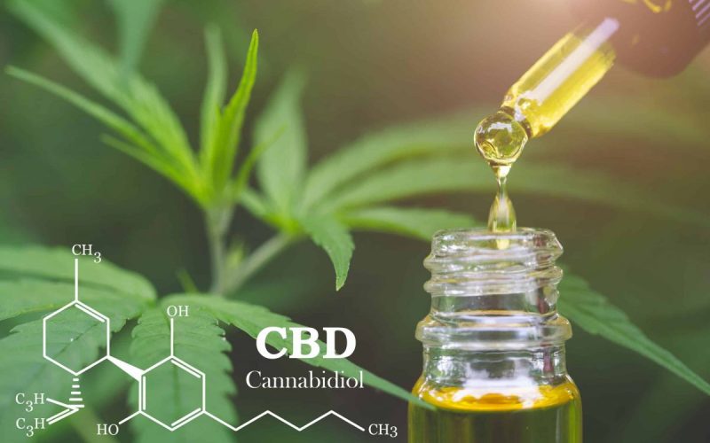 CBD  elements in Cannabis, Hemp oil, medical marijuana,  cannabinoids and health.