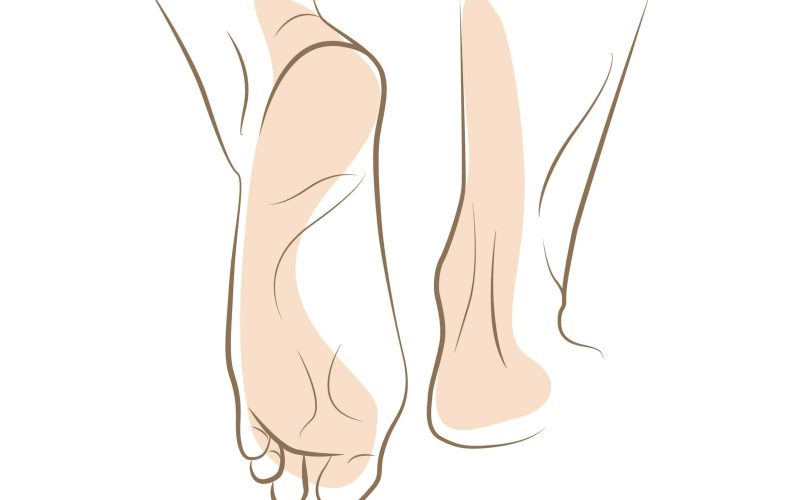 Woman foot sketch, drawn in vector lines