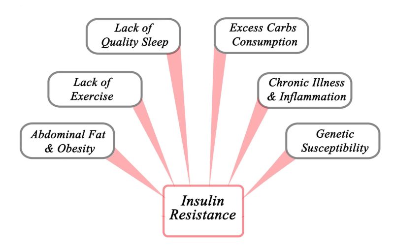 58468028 - causes of insulin resistance