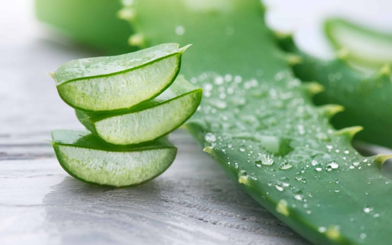 The Effect of Aloe Vera on Diabetes