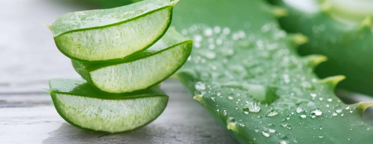 The Effect of Aloe Vera on Diabetes