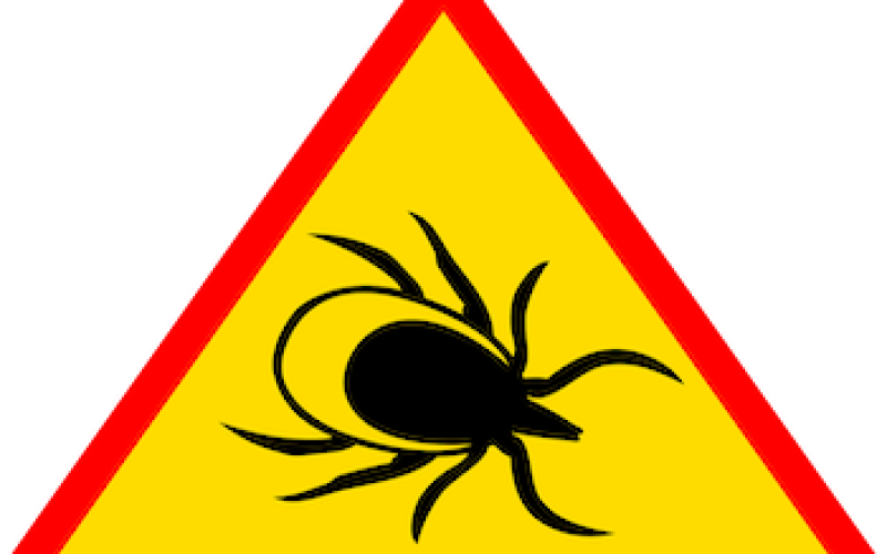 how serious is lyme disease